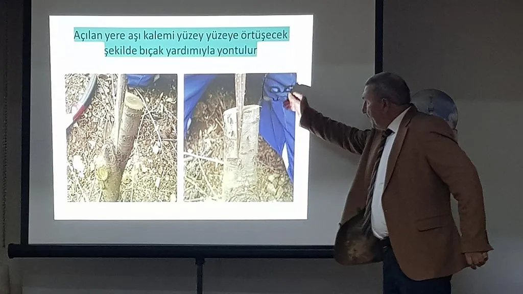 Bayburt'ta Kültür Sohbetleri Meyve Ağacı Aşılamasına Işık Tuttu Haberi