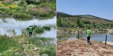 Bayburt'ta Bit, Pire, Kene Alarmı, Belediyeden Yoğun İlaçlama Faaliyetleri