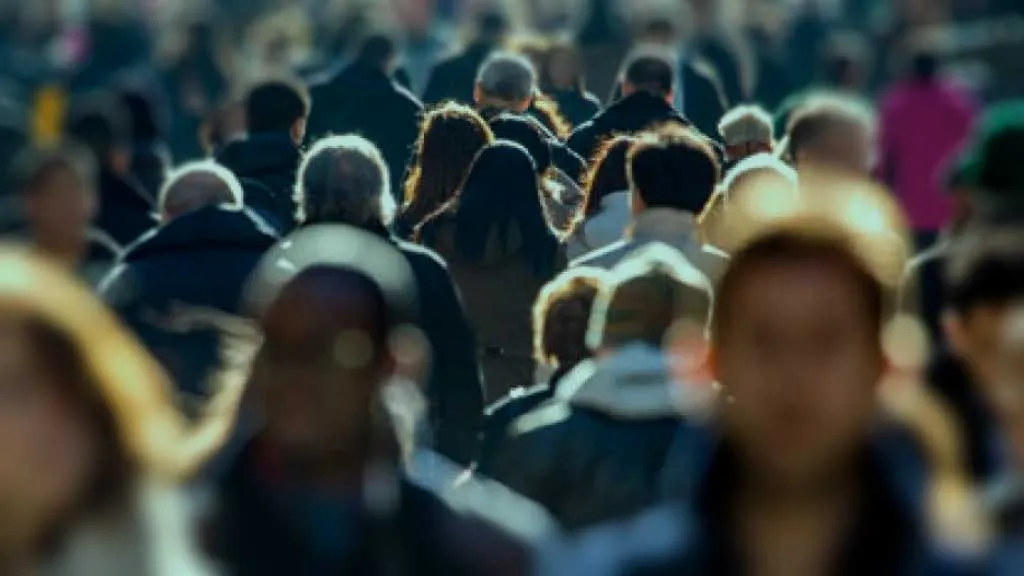 Mayıs 2025 İşgücü İstatistikleri Açıklandı, İşsizlik Oranı Yüzde 8,4'e Geriledi