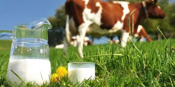 Aydıntepe’de Süt Üreticilerine Yönelik Hijyen Eğitimi Başlıyor