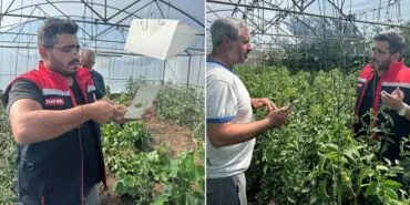 Bayburt Aydıntepe'de Akdeniz Meyve Sineğiyle Biyoteknik Mücadele Başladı