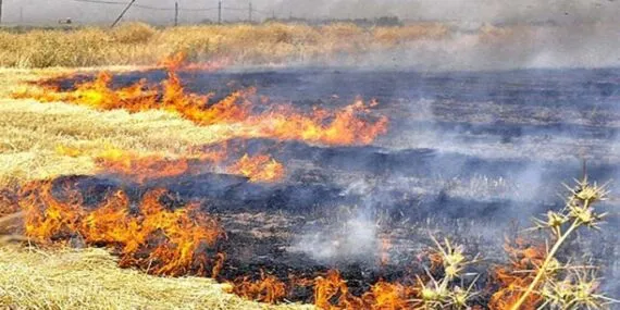 Bayburt Belediyesi İtfaiye Müdürlüğü’nden Anız Yangınlarına Karşı Önemli Uyarı: Anız Yakmak Geleceği Yakmaktır