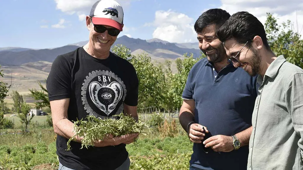 Bayburt Tarımı Dünya Pazarına Açılıyor, Amerikalı Şirketten Tarhun İhracat Hamlesi