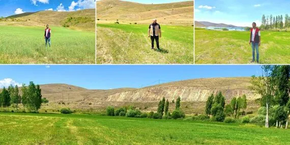 Bayburt’ta Yem Bitkileri Ekilişleri İçin Saha Çalışmaları Hız Kesmiyor
