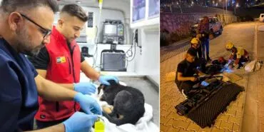 Kahraman İtfaiyeciler Konya'da Yavru Köpeğe Umut Oldu