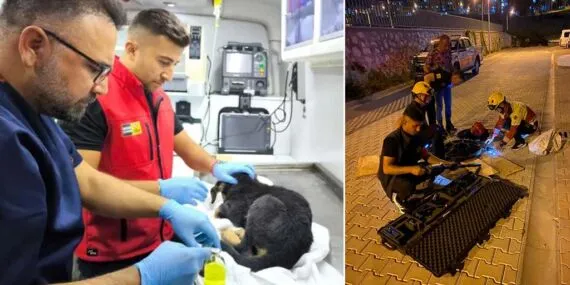 Kahraman İtfaiyeciler Konya’da Yavru Köpeğe Umut Oldu