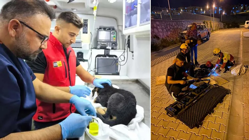 Kahraman İtfaiyeciler Konya'da Yavru Köpeğe Umut Oldu