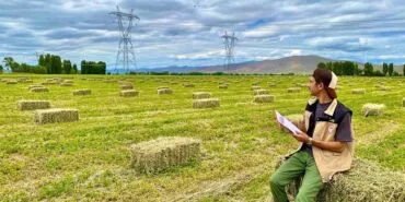 Tarım Müdürlüğü'nden Rüştü Köyü'nde Yem Bitkileri Kontrolü