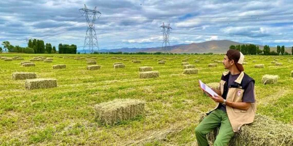 Tarım Müdürlüğü’nden Rüştü Köyü’nde Yem Bitkileri Kontrolü