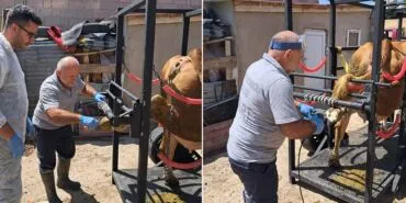 TRAVAY Projesi Saha Uygulamaları Başladı!