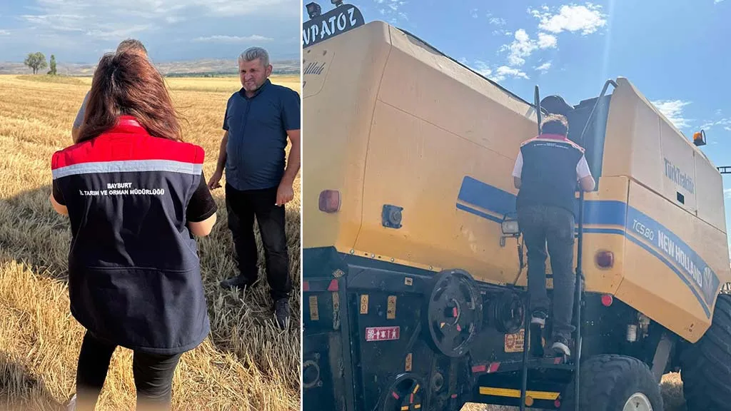 Aydıntepe Hasat Sezonu Başladı: Tarım ve Orman Müdürlüğü Kontrolleri Artırdı