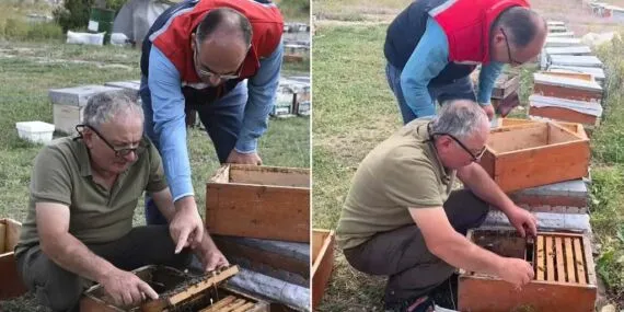 Bayburt Arıcılığına Yerinde Destek: Bal Hasadı Sezonu Değerlendirildi