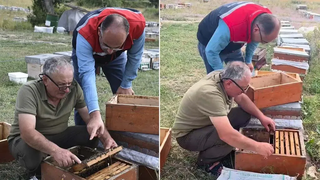 Bayburt Arıcılığına Yerinde Destek: Bal Hasadı Sezonu Değerlendirildi