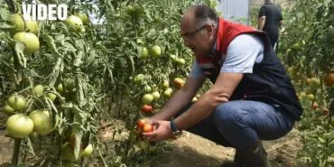 Bayburt Eko Köy'de Tarımsal Faaliyetler Yerinde İncelendi