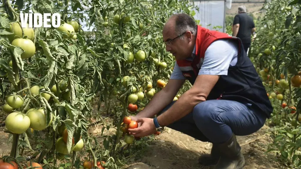Bayburt Eko Köy'de Tarımsal Faaliyetler Yerinde İncelendi