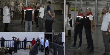 Bayburt Mezbahanesinde Kesim ve Hijyen Standartları Yerinde İncelendi