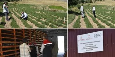 Bayburt Tarhun Üretimi, DOKAP Destekli Tesiste Üretim Alanları İncelendi