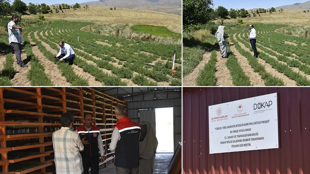 Bayburt Tarhun Üretimi, DOKAP Destekli Tesiste Üretim Alanları İncelendi