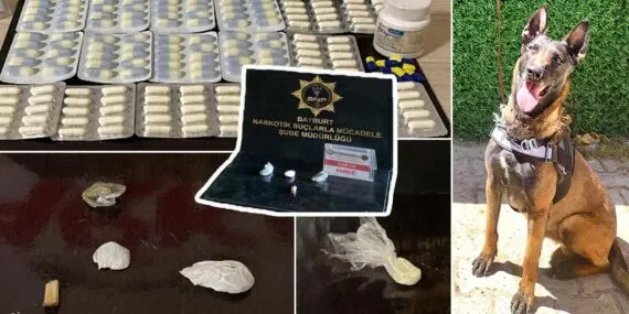 Bayburt’ta 3 Ayrı Uyuşturucu Operasyonu, Narkotik Köpeği Pablo’nun Koku Takibi Sonuç Verdi