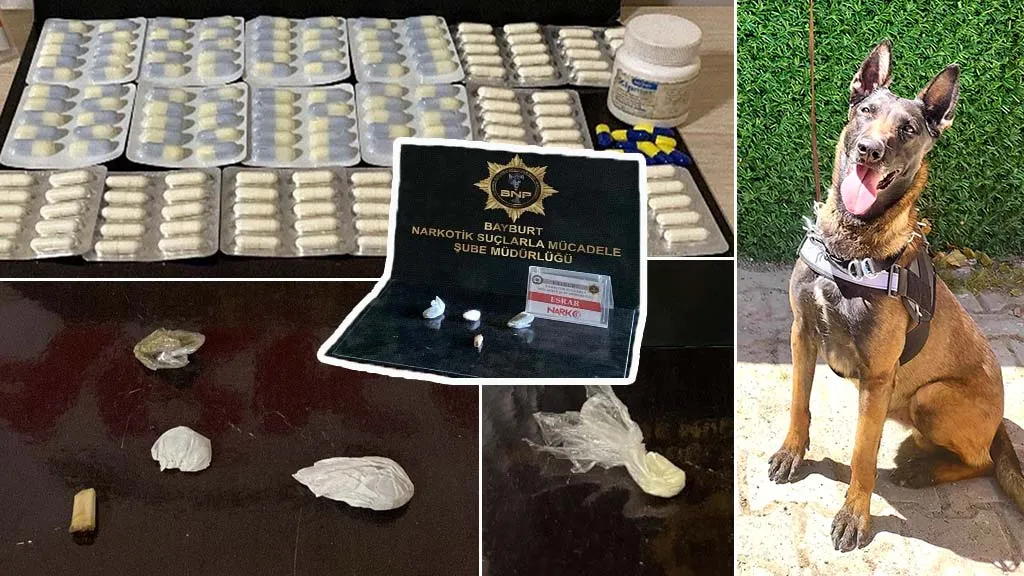 Bayburt'ta 3 Ayrı Uyuşturucu Operasyonu, Narkotik Köpeği Pablo'nun Koku Takibi Sonuç Verdi