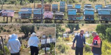 Bayburt'ta Arılı Kovan Tespitleri Başladı: Desteklemeler İçin Önemli Adım