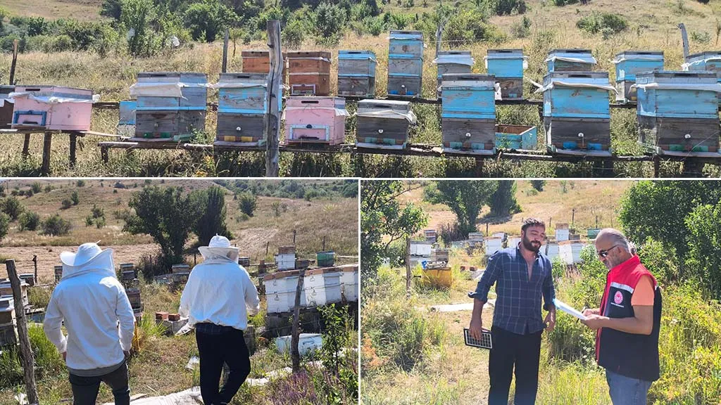 Bayburt'ta Arılı Kovan Tespitleri Başladı: Desteklemeler İçin Önemli Adım