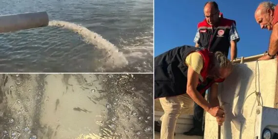 Bayburt’ta Gökçedere Göleti’ne 150 Bin Sazan Yavrusu Bırakıldı