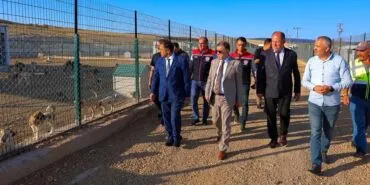 Bayburt'ta Sokak Hayvanları İçin Yeni Yuva: Modern Barınak İnşaatı Hızla İlerliyor