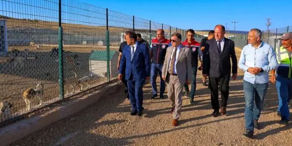 Bayburt’ta Sokak Hayvanları İçin Yeni Yuva: Modern Barınak İnşaatı Hızla İlerliyor