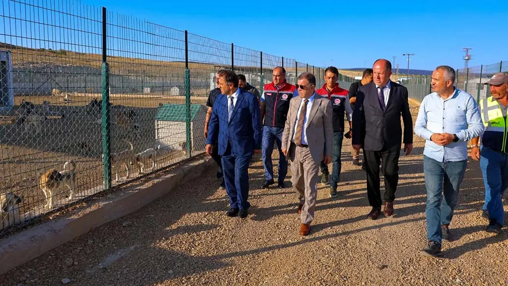 Bayburt'ta Sokak Hayvanları İçin Yeni Yuva: Modern Barınak İnşaatı Hızla İlerliyor