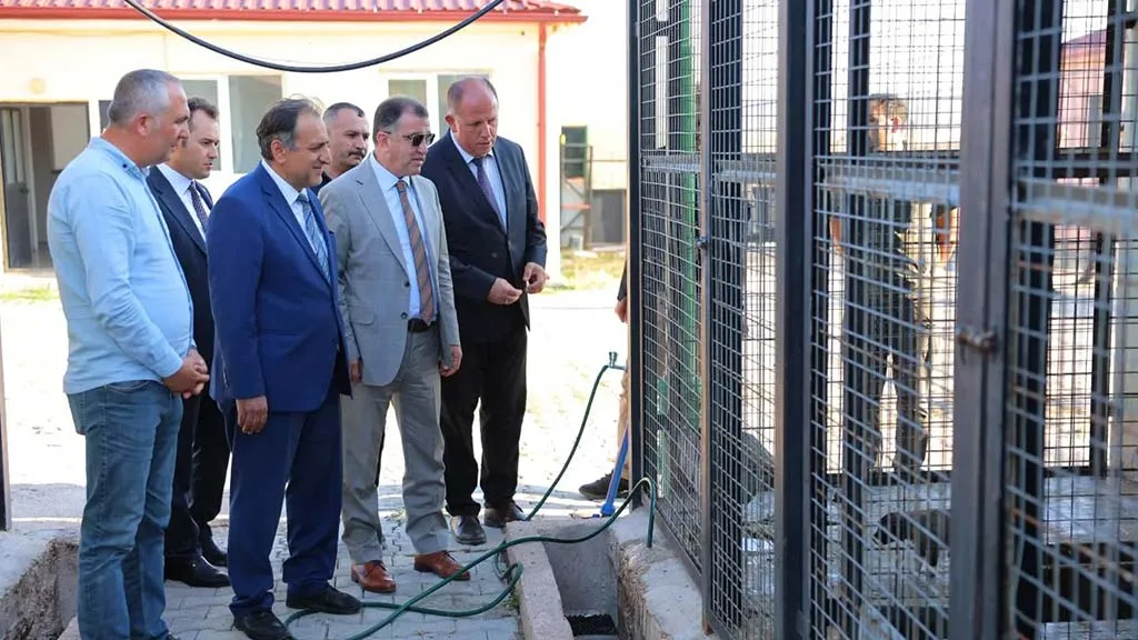 Bayburt'ta Sokak Hayvanları İçin Yeni Yuva: Modern Barınak İnşaatı Hızla İlerliyor