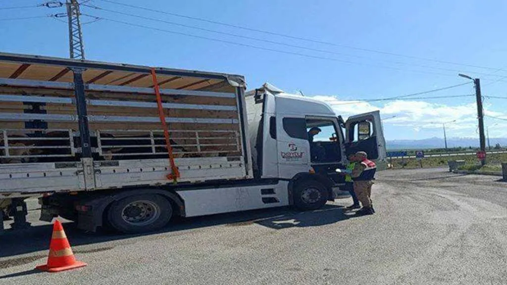 Erzurum'da Göçmen Kaçakçılığı Operasyonları: 24 Düzensiz Göçmen Yakalandı