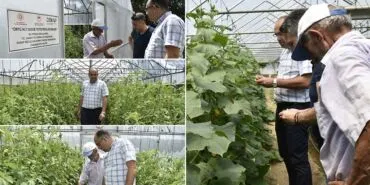 Zarar Gören Seralarda Ata Tohumlarıyla Üretim Yeniden Başladı
