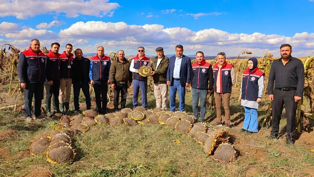 Bayburt Ayçiçeği Hasadı, Vali Eldivan Hasatta Çiftçilerle Buluştu