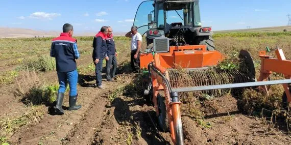 Bayburt’ta Kuru Fasulye Üretimi Yüz Güldürüyor, Dekar Başına Yüksek Gelir!