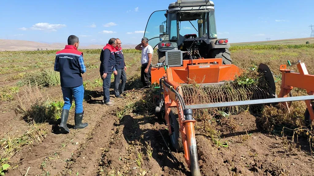 Bayburt'ta Kuru Fasulye Üretimi Yüz Güldürüyor, Dekar Başına Yüksek Gelir!