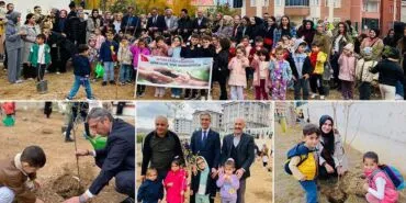 Bayburt'ta Minik Ellerden Yeşil Vatan'a Nefes, Geleceğe Umut Ektiler!