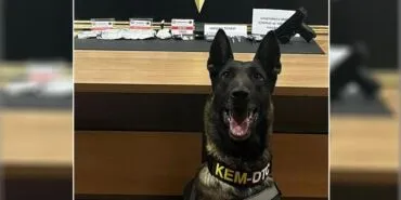 Narkotik Köpeği Pablo Bayburt’ta Zehir Tacirini Yakalattı