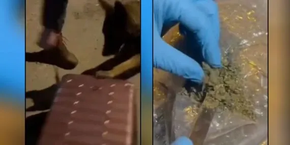 Bayburt’ta 1 Kilo Skunk ile Yakalanan Şahıs Tutuklandı!