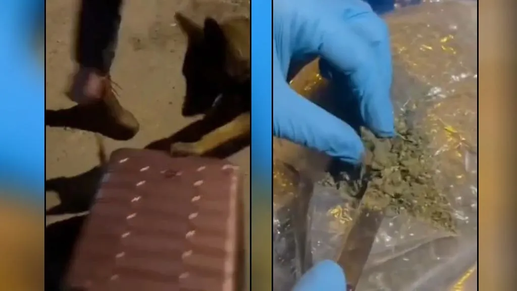 Bayburt’ta 1 Kilo Skunk ile Yakalanan Şahıs Tutuklandı!