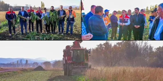 Bayburt’ta 880 Çiftçinin Emeğiyle 38 Bin Dekar Alan Ekildi, Hedef 135 Bin Ton Şeker Pancarı