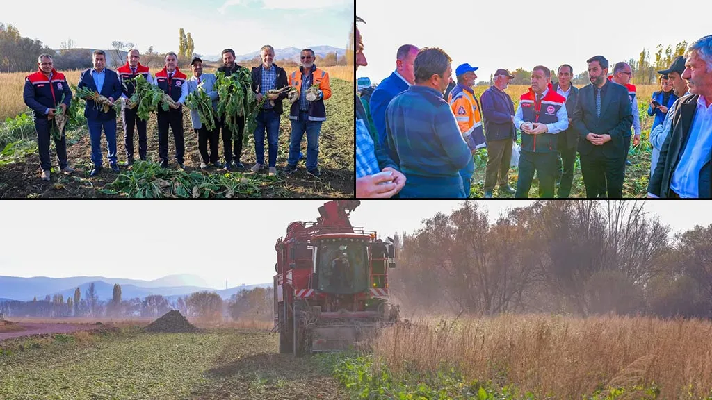 Bayburt’ta 880 Çiftçinin Emeğiyle 38 Bin Dekar Alan Ekildi, Hedef 135 Bin Ton Şeker Pancarı