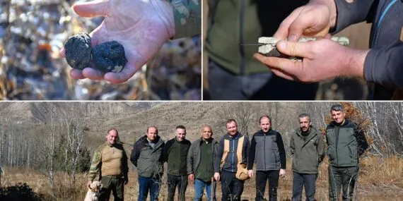 Bayburt’ta Kara Elmas Keşfi, Trüf Mantarı Envanter Çalışmaları Başlatıldı