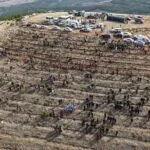 Bayburt’tan Geleceğe Nefes, 97 Bin 620 Fidan Toprakla Buluştu