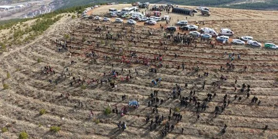 Bayburt’tan Geleceğe Nefes, 97 Bin 620 Fidan Toprakla Buluştu