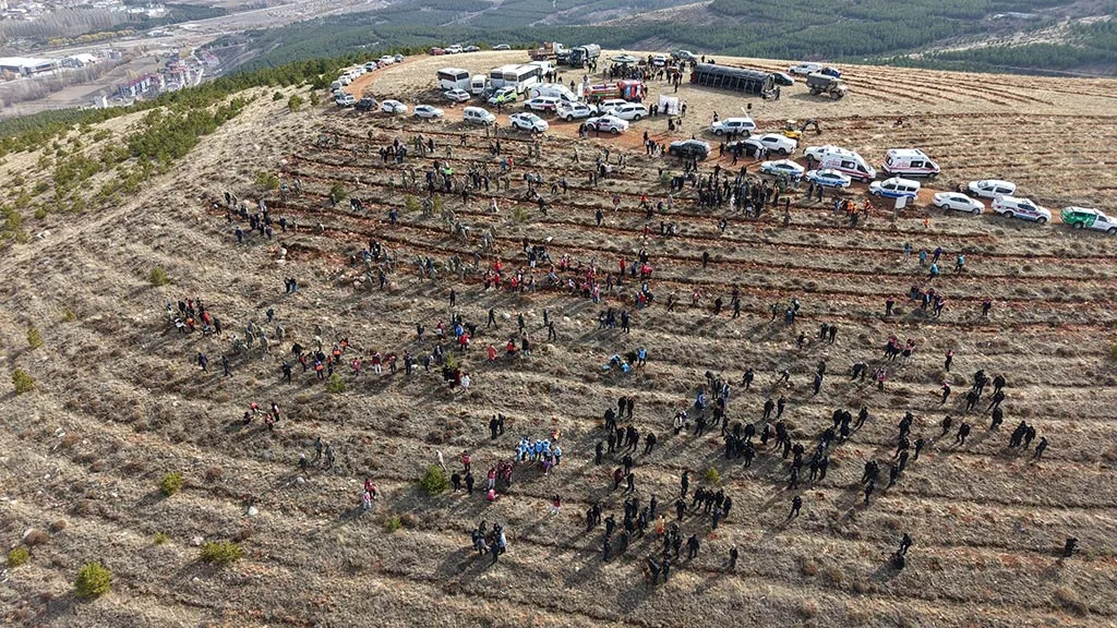 Bayburt’tan Geleceğe Nefes, 97 Bin 620 Fidan Toprakla Buluştu