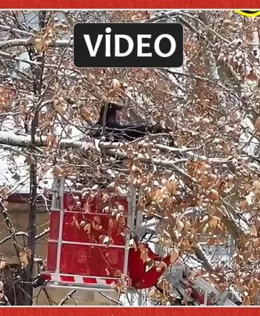 Bayburt’ta Dondurucu Soğukta İç Isıtan Kurtarma, Her Can Bize Emanet!