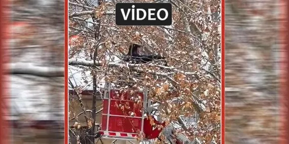 Bayburt’ta Dondurucu Soğukta İç Isıtan Kurtarma, Her Can Bize Emanet!