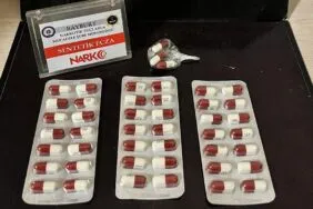 Bayburt’ta Uyuşturucu Operasyonu, Bonzai ve Sentetik Hap Ele Geçirildi!