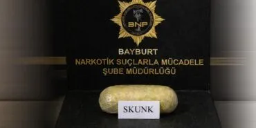 Bayburt'ta Zehir Tacirlerine Geçit Yok, Narkotik Ekiplerinden Operasyon!